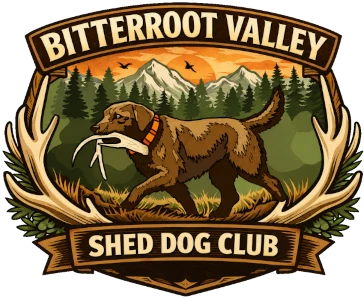 Bitterroot Valley Shed Dog Club logo